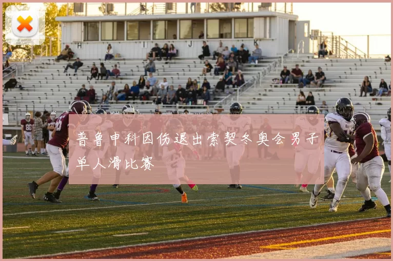 普鲁申科因伤退出索契冬奥会男子单人滑比赛