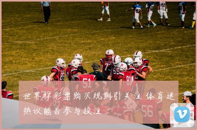 世界杯彩票购买规则引关注 体育迷热议能否参与投注