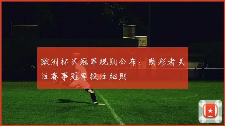 欧洲杯买冠军规则公布,购彩者关注赛事冠军投注细则